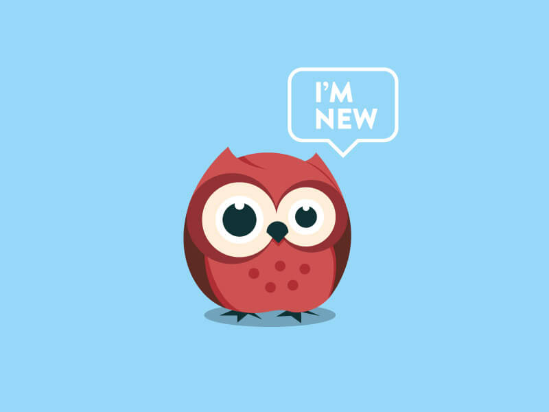 Hello, Owl